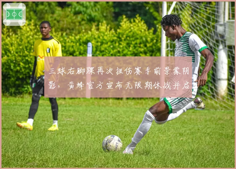 三球右脚踝再次扭伤赛季前景蒙阴影，黄蜂官方宣布无限期休战并启动专家会诊