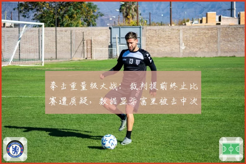 拳击重量级大战：裁判提前终止比赛遭质疑，数据显示富里被击中次数仅占15%