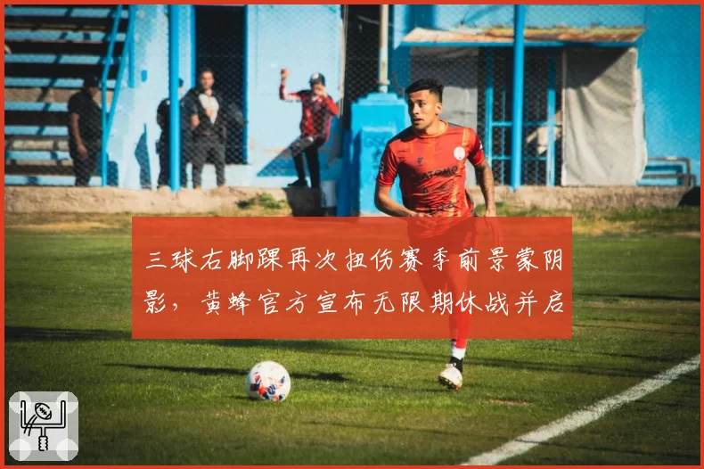 三球右脚踝再次扭伤赛季前景蒙阴影，黄蜂官方宣布无限期休战并启动专家会诊