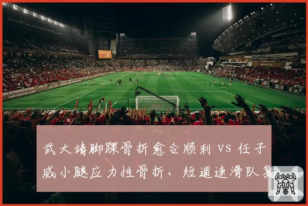 武大靖脚踝骨折愈合顺利 vs 任子威小腿应力性骨折,短道速滑队复出节点不同